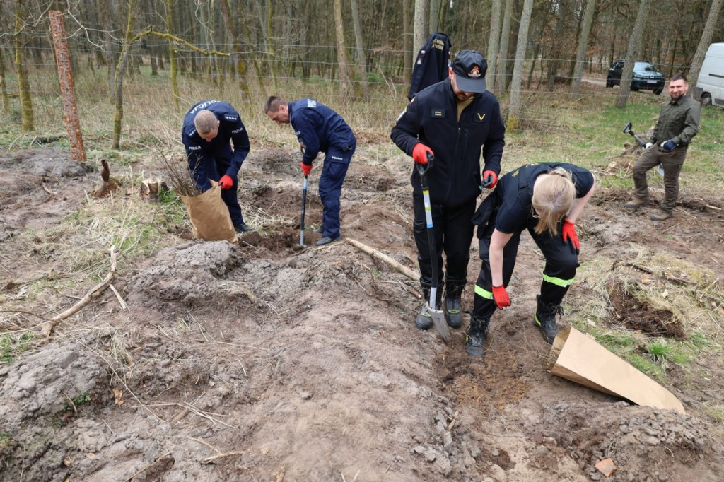 Sadzenie lasu w Leśnictwie Adamowo