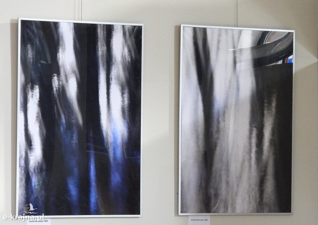 Wystawa fotogramów Jowity Niemczyk w Centrum Aktywności Lokalnej w Więcborku [FOTO]