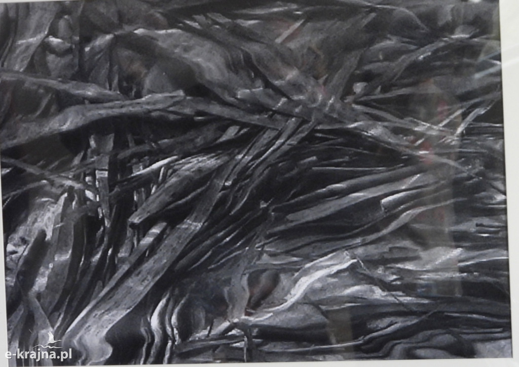 Wystawa fotogramów Jowity Niemczyk w Centrum Aktywności Lokalnej w Więcborku [FOTO]