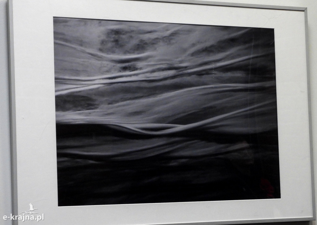 Wystawa fotogramów Jowity Niemczyk w Centrum Aktywności Lokalnej w Więcborku [FOTO]