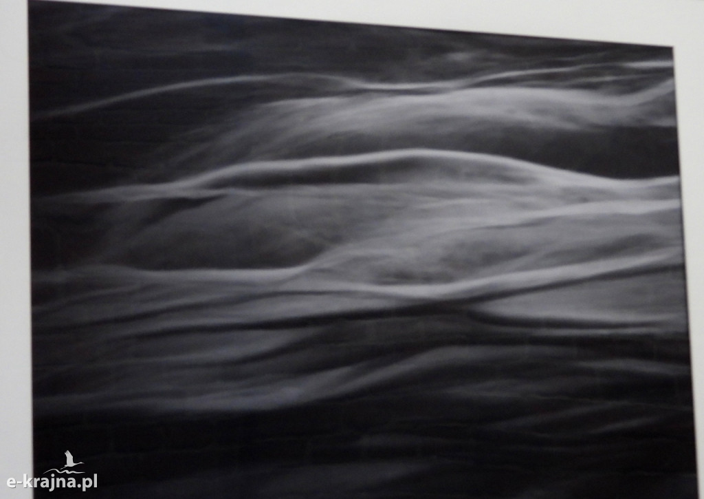 Wystawa fotogramów Jowity Niemczyk w Centrum Aktywności Lokalnej w Więcborku [FOTO]