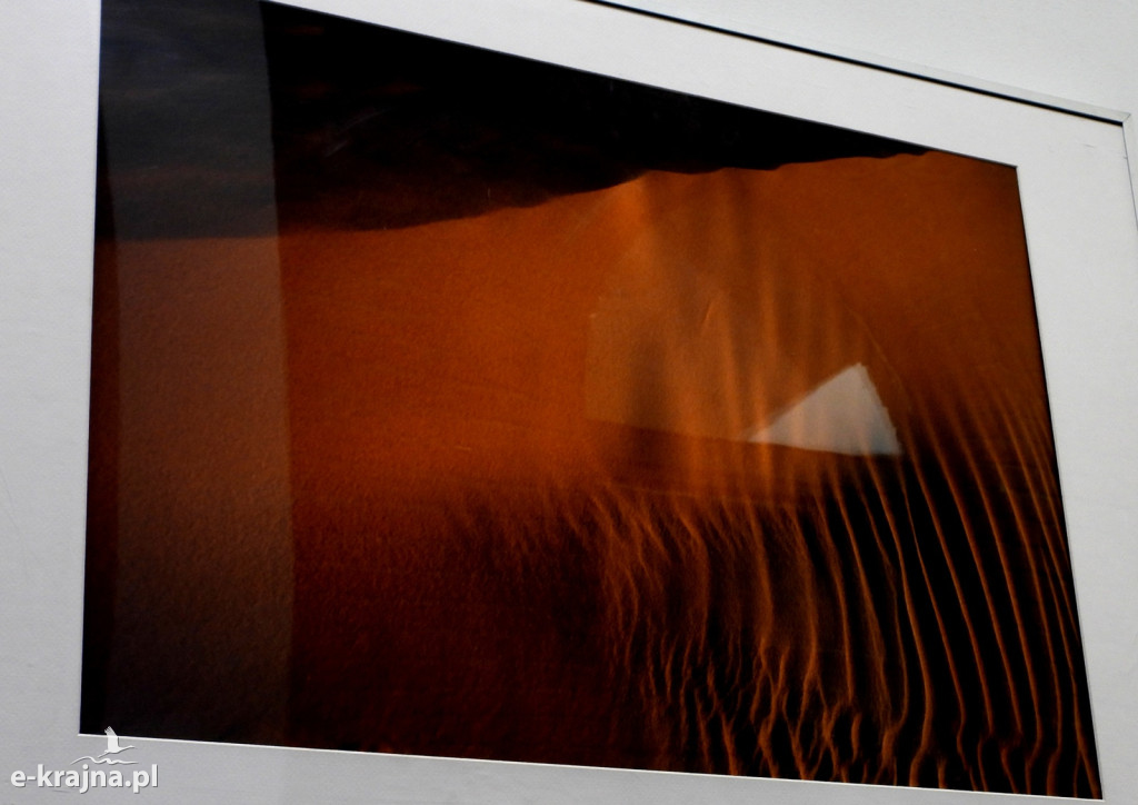 Wystawa fotogramów Jowity Niemczyk w Centrum Aktywności Lokalnej w Więcborku [FOTO]