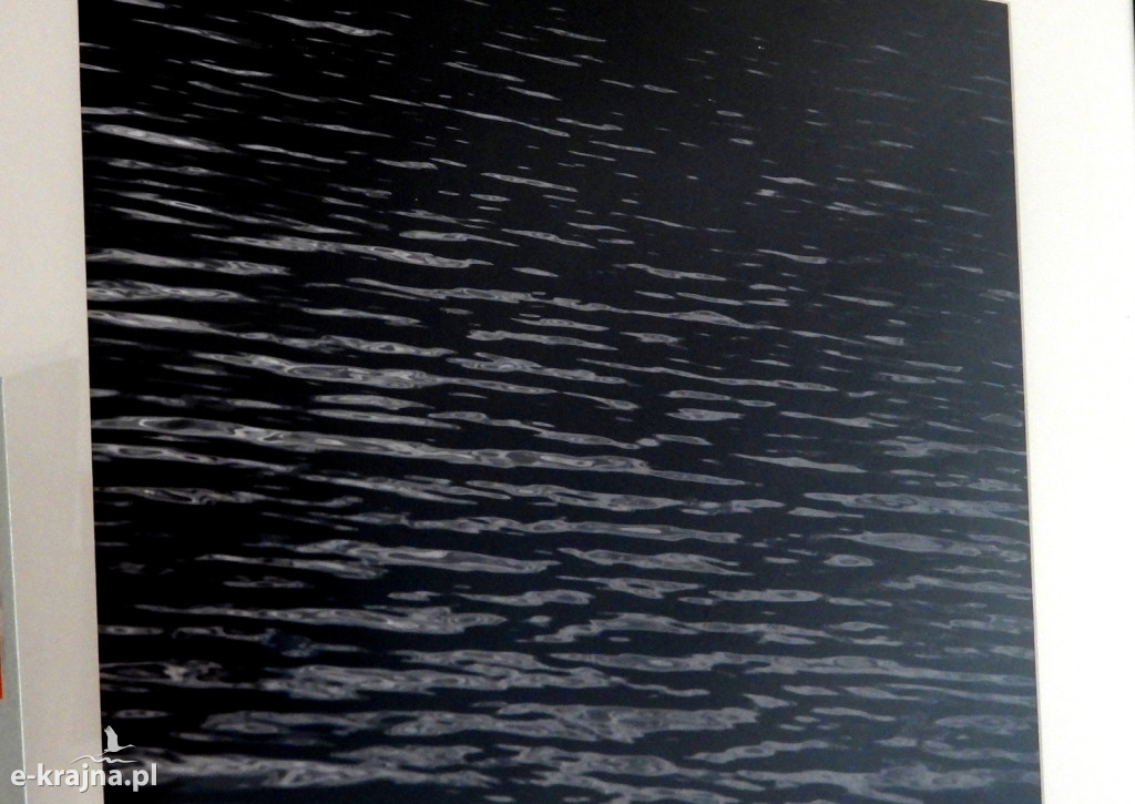 Wystawa fotogramów Jowity Niemczyk w Centrum Aktywności Lokalnej w Więcborku [FOTO]