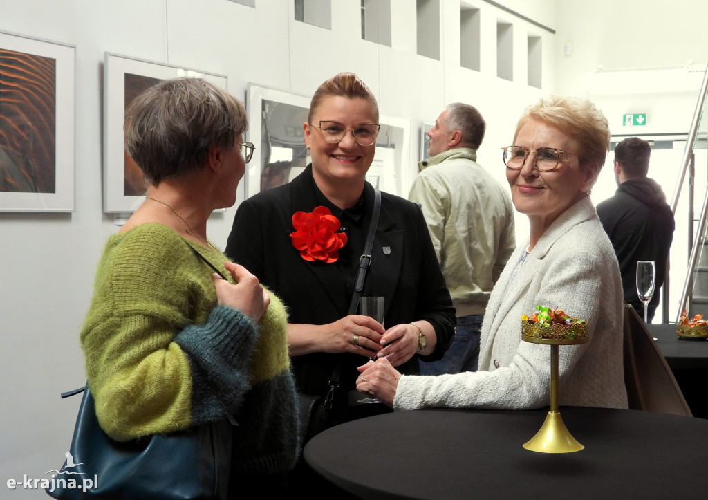 Wystawa fotogramów Jowity Niemczyk w Centrum Aktywności Lokalnej w Więcborku [FOTO]