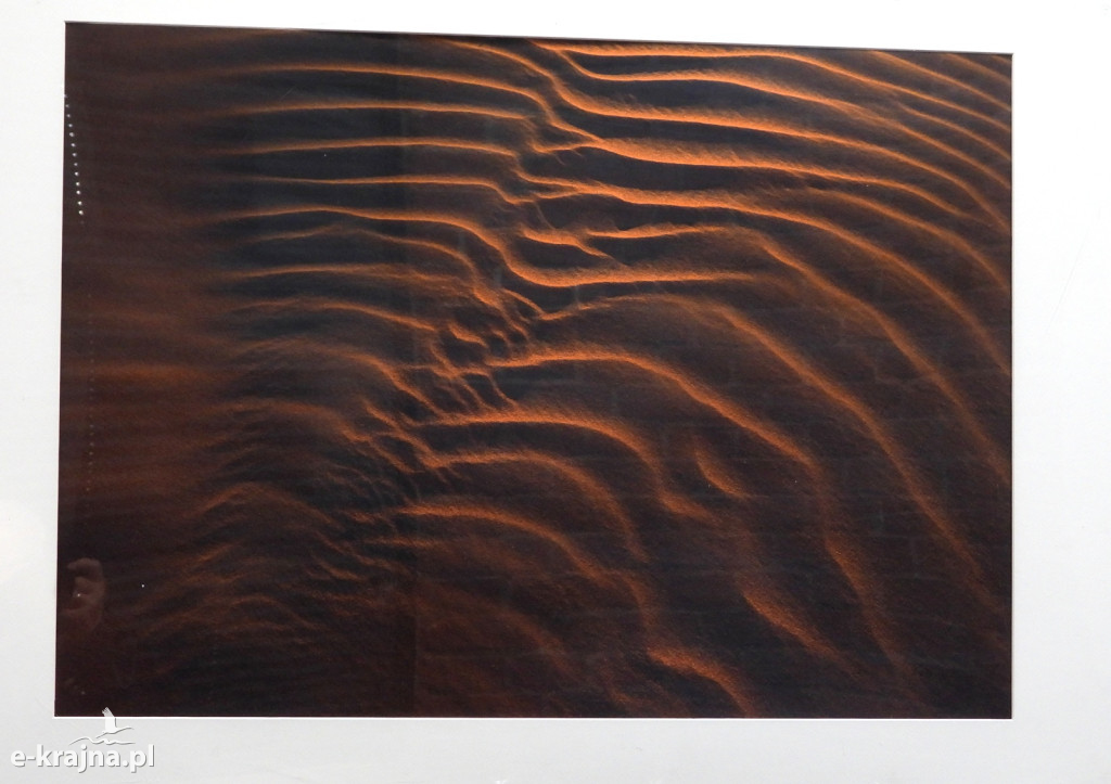 Wystawa fotogramów Jowity Niemczyk w Centrum Aktywności Lokalnej w Więcborku [FOTO]