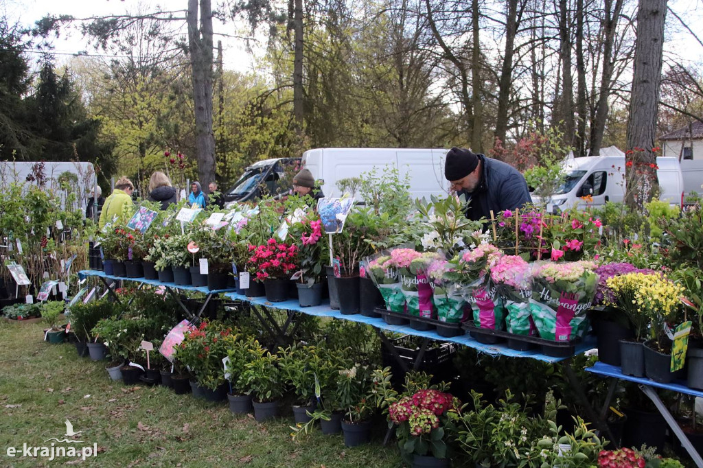 Sukces mimo chłodu. X Powiatowe Targi Ogrodniczo-Rolnicze w Sypniewie za nami