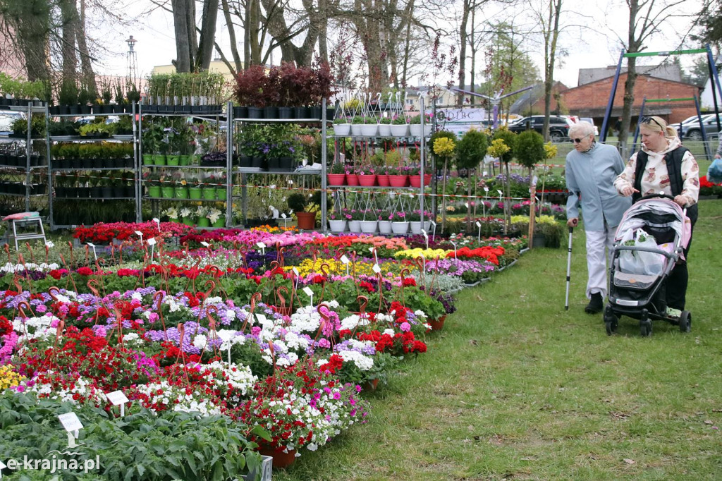 Sukces mimo chłodu. X Powiatowe Targi Ogrodniczo-Rolnicze w Sypniewie za nami