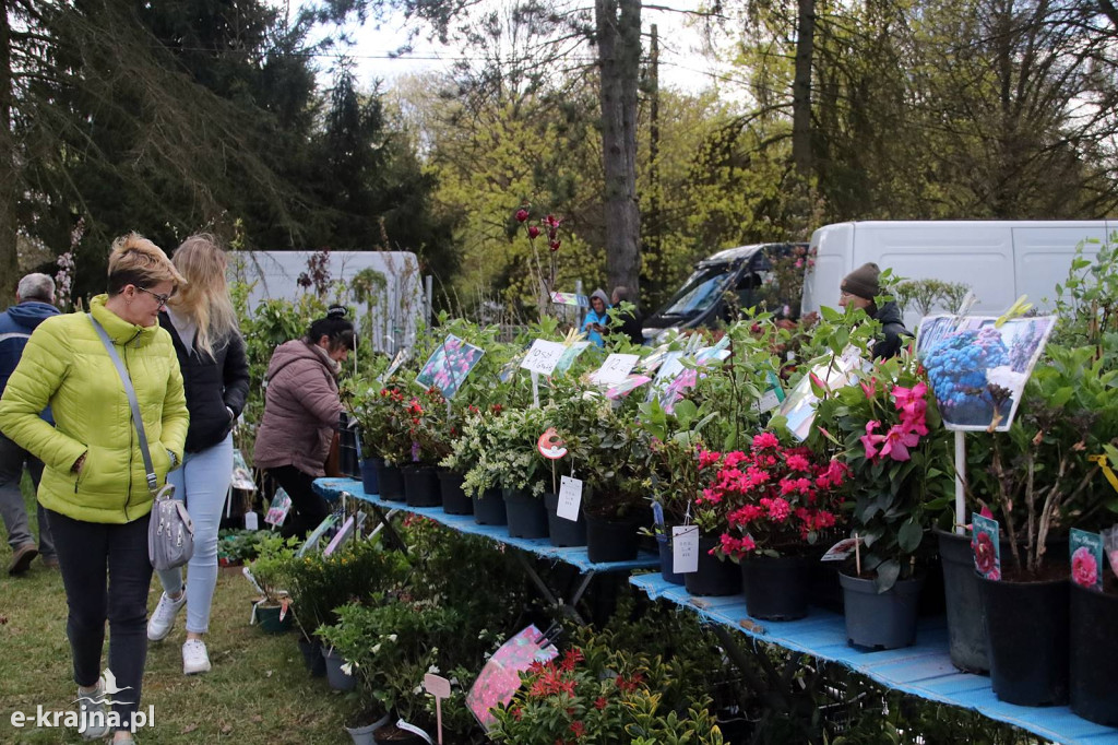 Sukces mimo chłodu. X Powiatowe Targi Ogrodniczo-Rolnicze w Sypniewie za nami