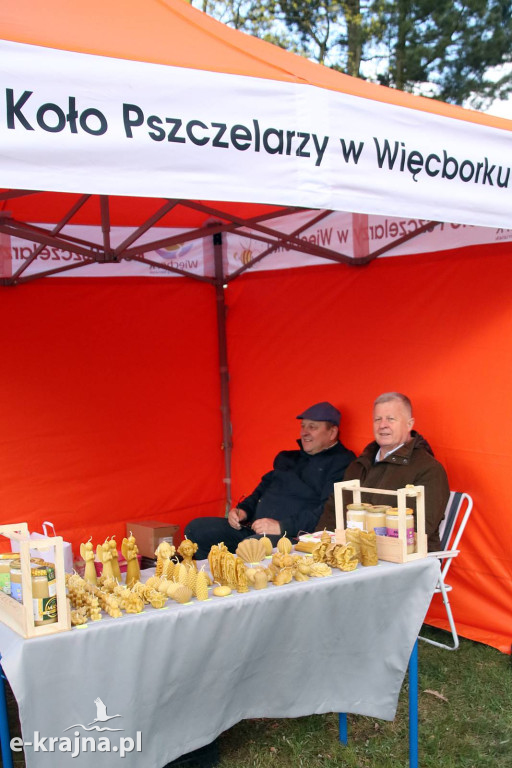 Sukces mimo chłodu. X Powiatowe Targi Ogrodniczo-Rolnicze w Sypniewie za nami