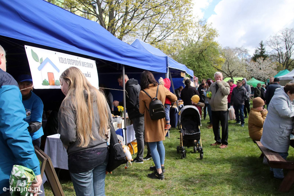 Sukces mimo chłodu. X Powiatowe Targi Ogrodniczo-Rolnicze w Sypniewie za nami