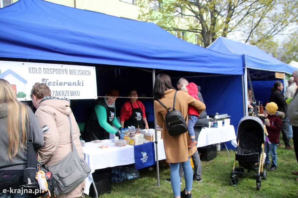 Sukces mimo chłodu. X Powiatowe Targi Ogrodniczo-Rolnicze w Sypniewie za nami