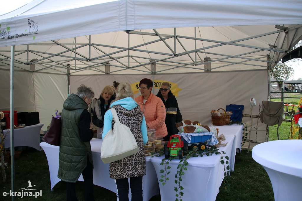 Sukces mimo chłodu. X Powiatowe Targi Ogrodniczo-Rolnicze w Sypniewie za nami