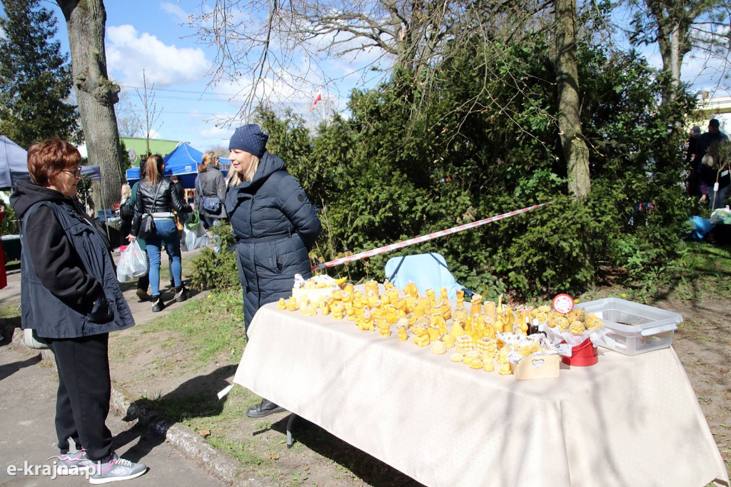 Sukces mimo chłodu. X Powiatowe Targi Ogrodniczo-Rolnicze w Sypniewie za nami