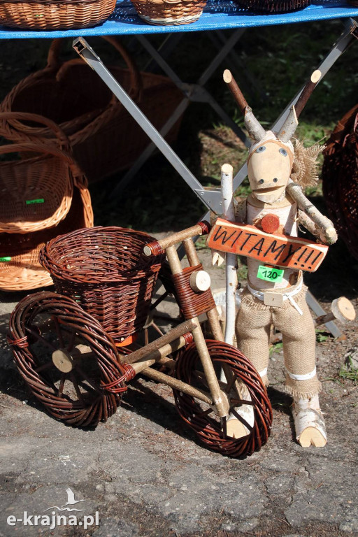 Sukces mimo chłodu. X Powiatowe Targi Ogrodniczo-Rolnicze w Sypniewie za nami