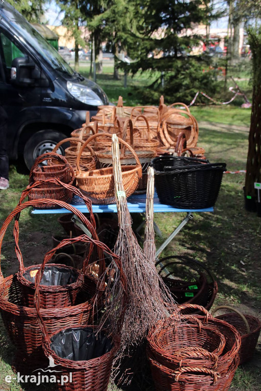 Sukces mimo chłodu. X Powiatowe Targi Ogrodniczo-Rolnicze w Sypniewie za nami