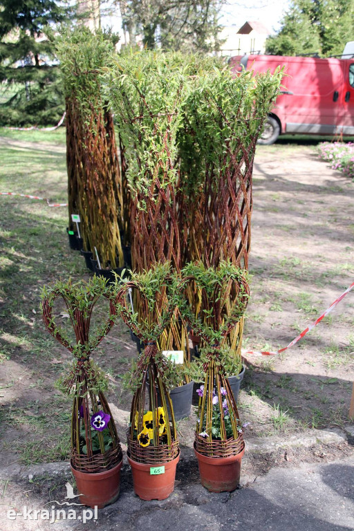 Sukces mimo chłodu. X Powiatowe Targi Ogrodniczo-Rolnicze w Sypniewie za nami