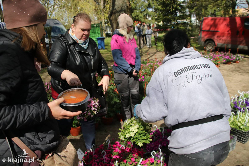 Sukces mimo chłodu. X Powiatowe Targi Ogrodniczo-Rolnicze w Sypniewie za nami