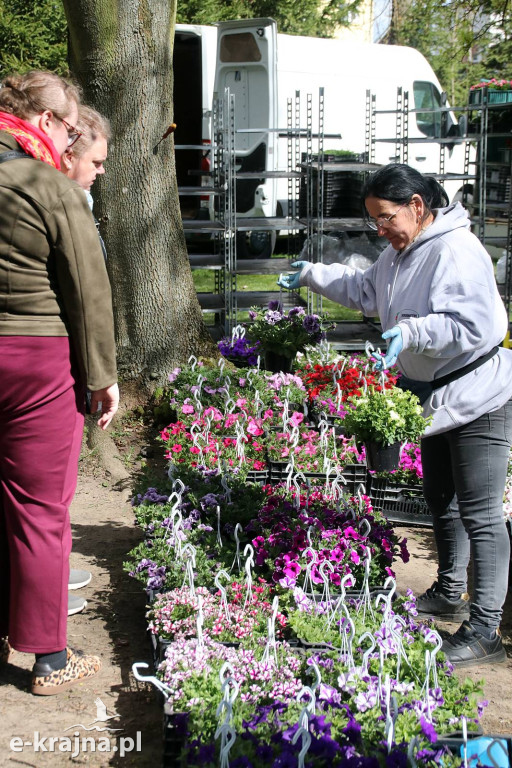 Sukces mimo chłodu. X Powiatowe Targi Ogrodniczo-Rolnicze w Sypniewie za nami