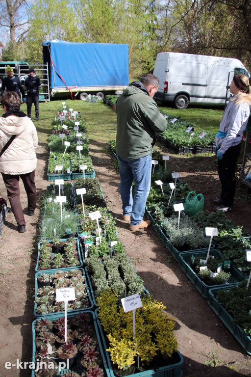 Sukces mimo chłodu. X Powiatowe Targi Ogrodniczo-Rolnicze w Sypniewie za nami