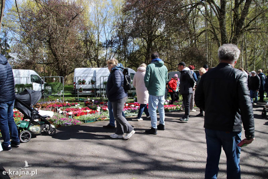 Sukces mimo chłodu. X Powiatowe Targi Ogrodniczo-Rolnicze w Sypniewie za nami