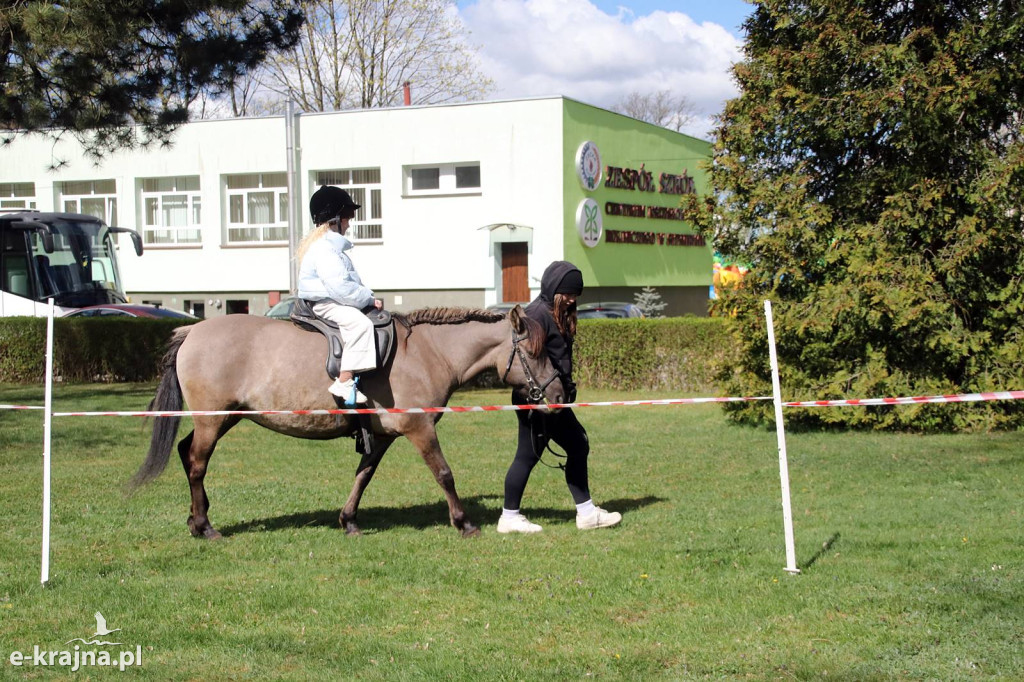 Sukces mimo chłodu. X Powiatowe Targi Ogrodniczo-Rolnicze w Sypniewie za nami