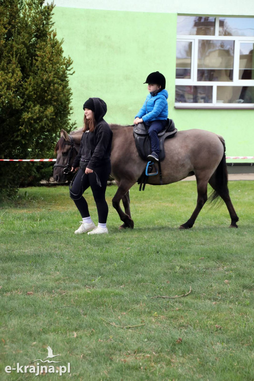 Sukces mimo chłodu. X Powiatowe Targi Ogrodniczo-Rolnicze w Sypniewie za nami