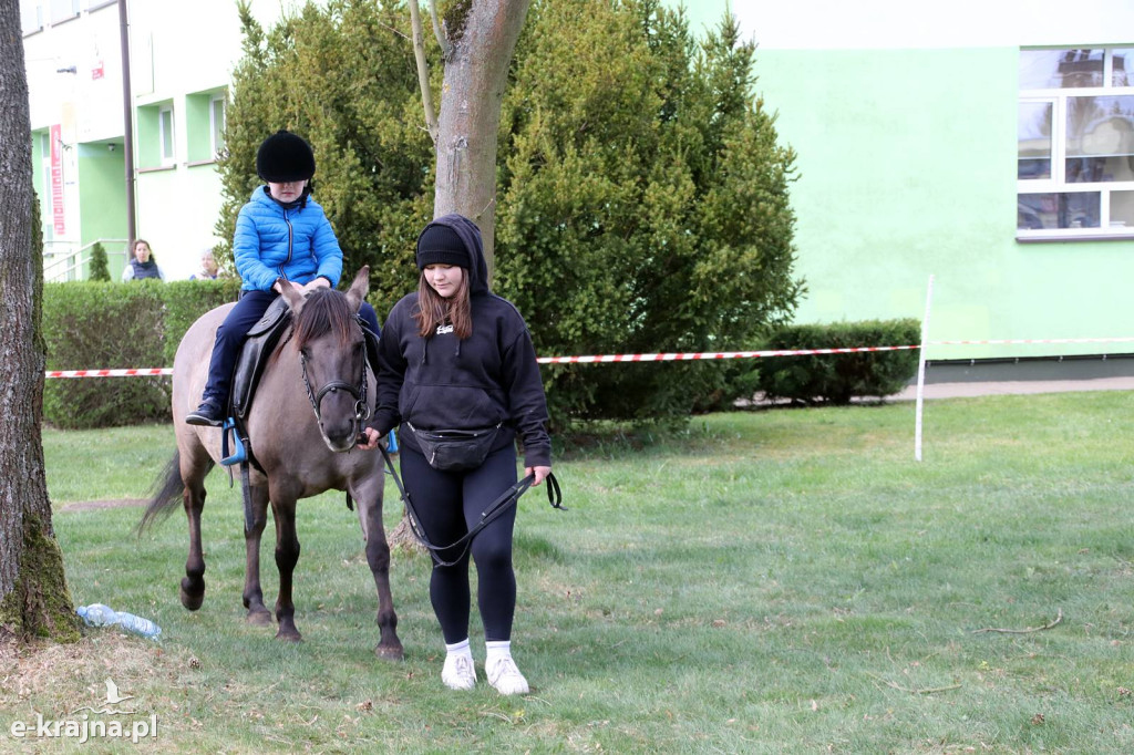 Sukces mimo chłodu. X Powiatowe Targi Ogrodniczo-Rolnicze w Sypniewie za nami