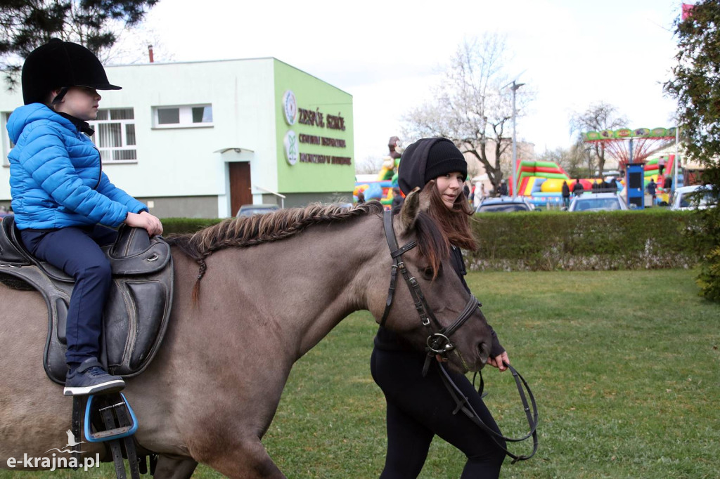 Sukces mimo chłodu. X Powiatowe Targi Ogrodniczo-Rolnicze w Sypniewie za nami