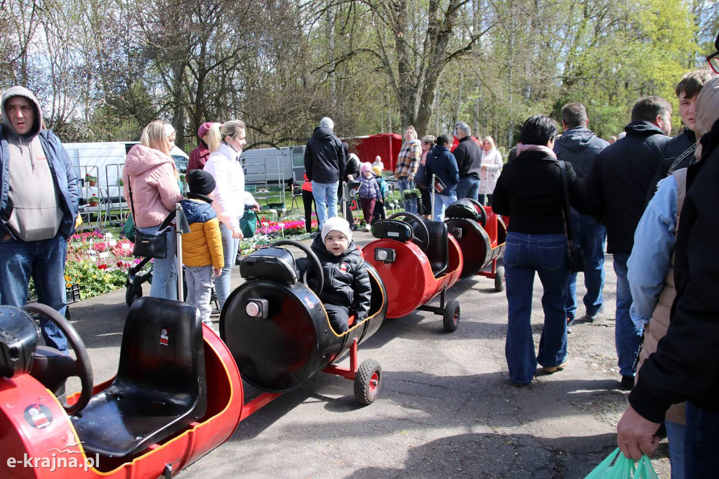 Sukces mimo chłodu. X Powiatowe Targi Ogrodniczo-Rolnicze w Sypniewie za nami