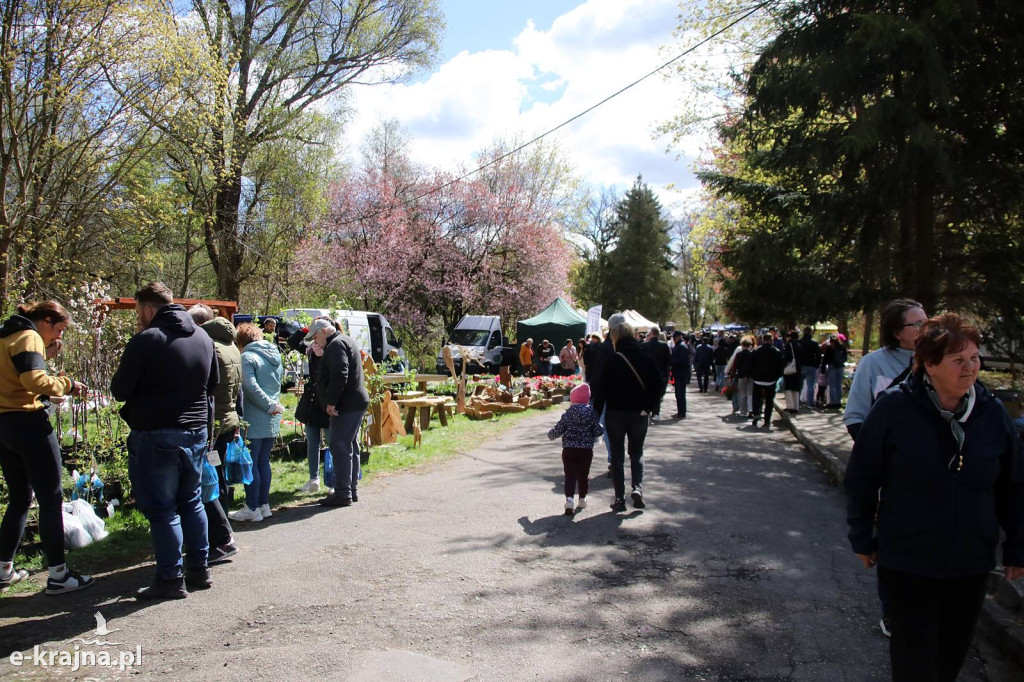 Sukces mimo chłodu. X Powiatowe Targi Ogrodniczo-Rolnicze w Sypniewie za nami