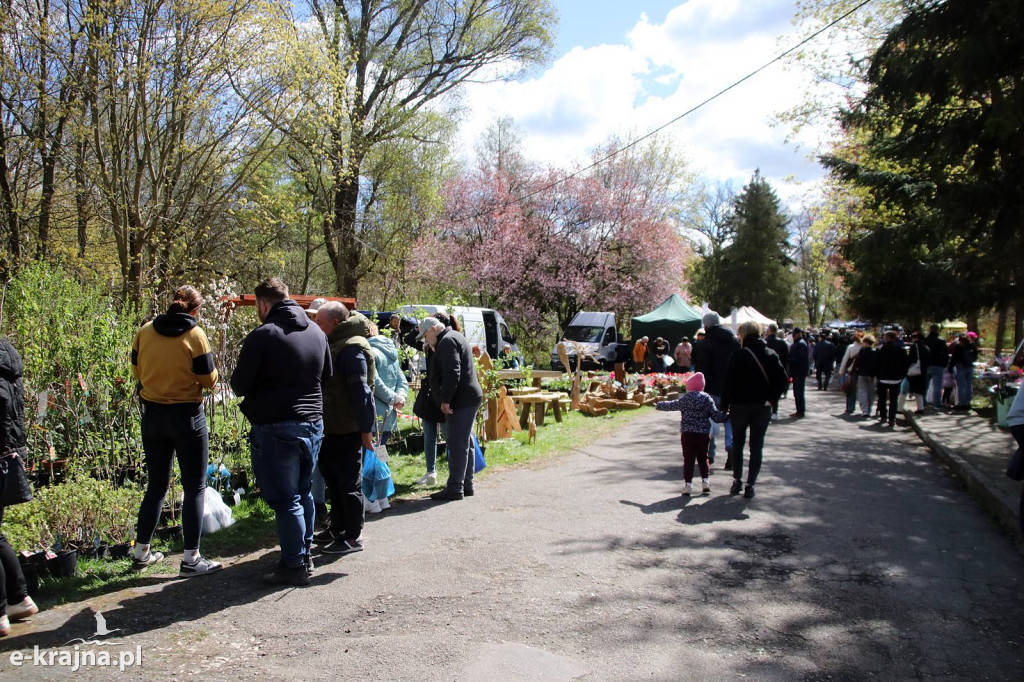 Sukces mimo chłodu. X Powiatowe Targi Ogrodniczo-Rolnicze w Sypniewie za nami