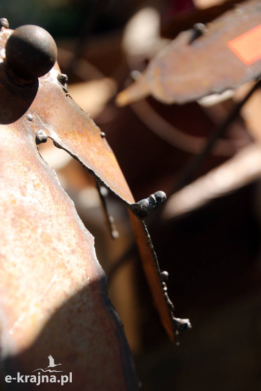 Sukces mimo chłodu. X Powiatowe Targi Ogrodniczo-Rolnicze w Sypniewie za nami