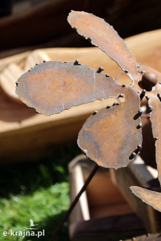 Sukces mimo chłodu. X Powiatowe Targi Ogrodniczo-Rolnicze w Sypniewie za nami