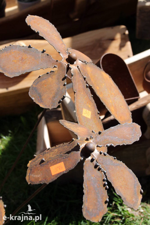 Sukces mimo chłodu. X Powiatowe Targi Ogrodniczo-Rolnicze w Sypniewie za nami