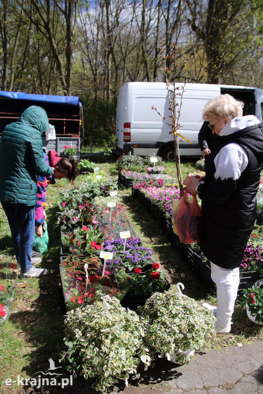 Sukces mimo chłodu. X Powiatowe Targi Ogrodniczo-Rolnicze w Sypniewie za nami