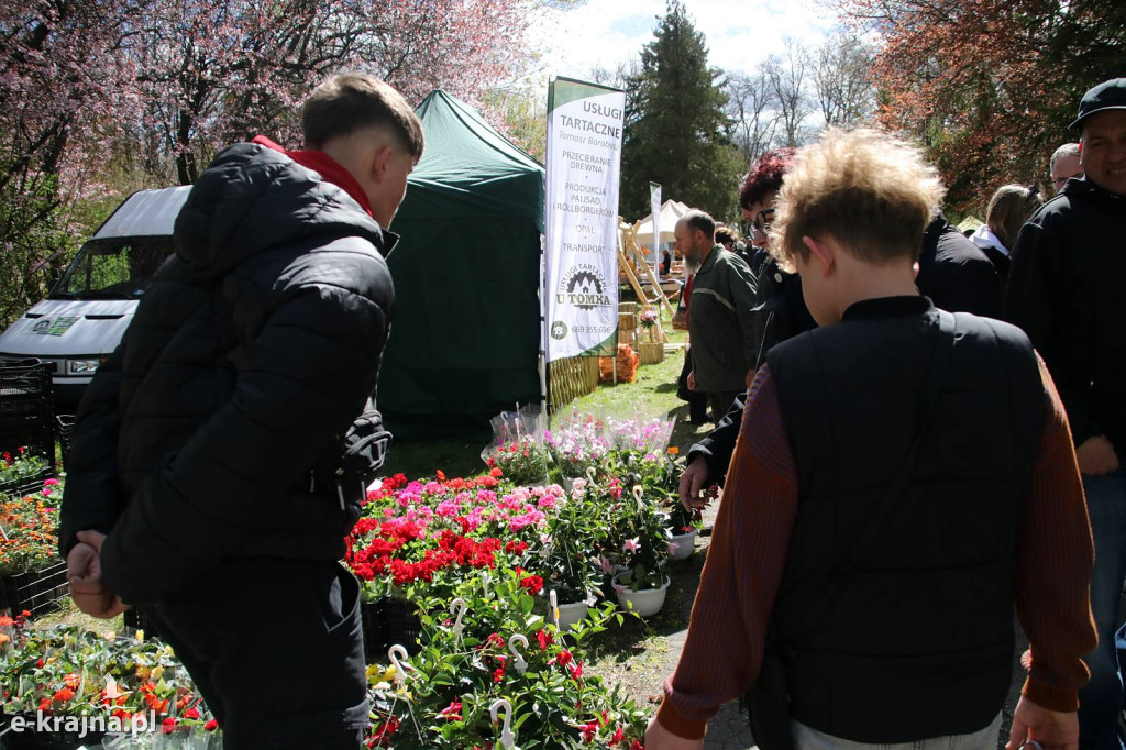 Sukces mimo chłodu. X Powiatowe Targi Ogrodniczo-Rolnicze w Sypniewie za nami