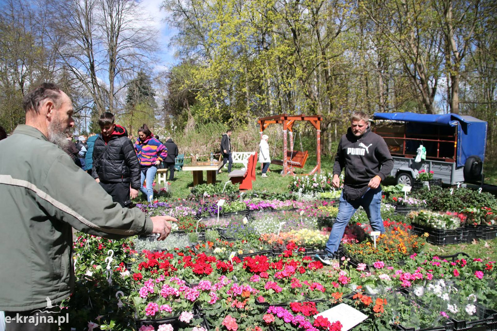 Sukces mimo chłodu. X Powiatowe Targi Ogrodniczo-Rolnicze w Sypniewie za nami