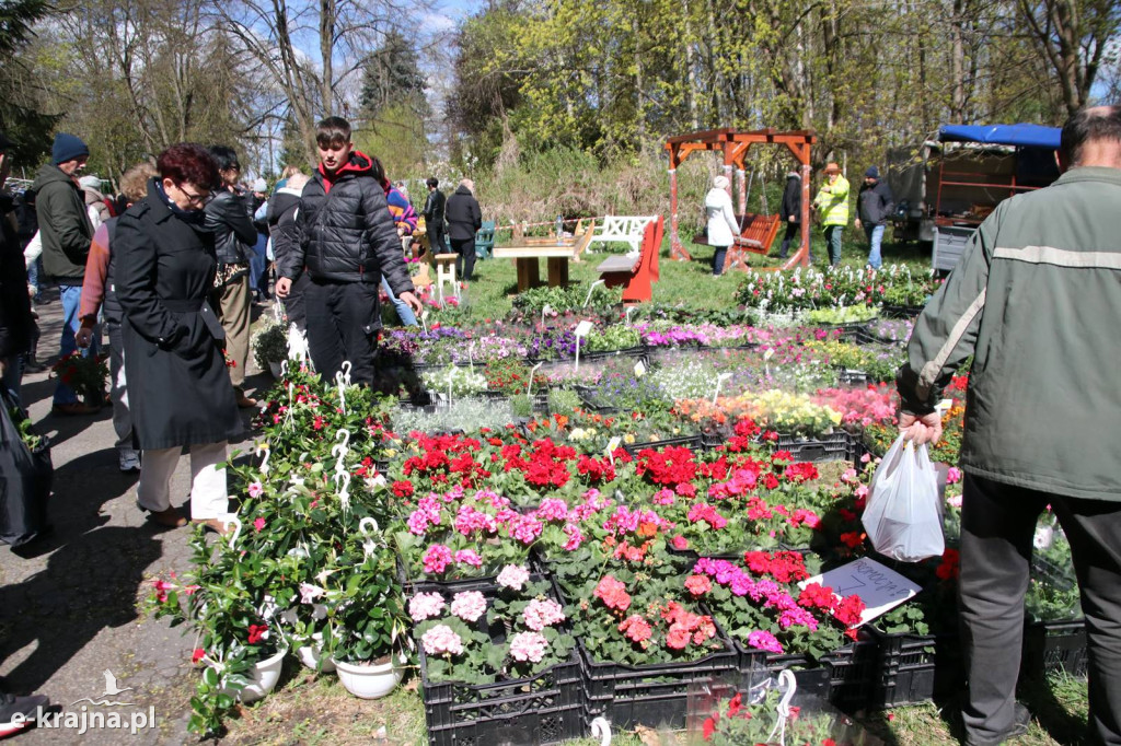 Sukces mimo chłodu. X Powiatowe Targi Ogrodniczo-Rolnicze w Sypniewie za nami