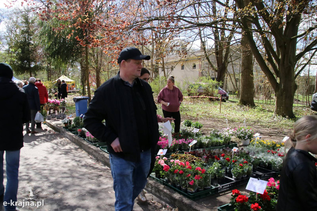 Sukces mimo chłodu. X Powiatowe Targi Ogrodniczo-Rolnicze w Sypniewie za nami