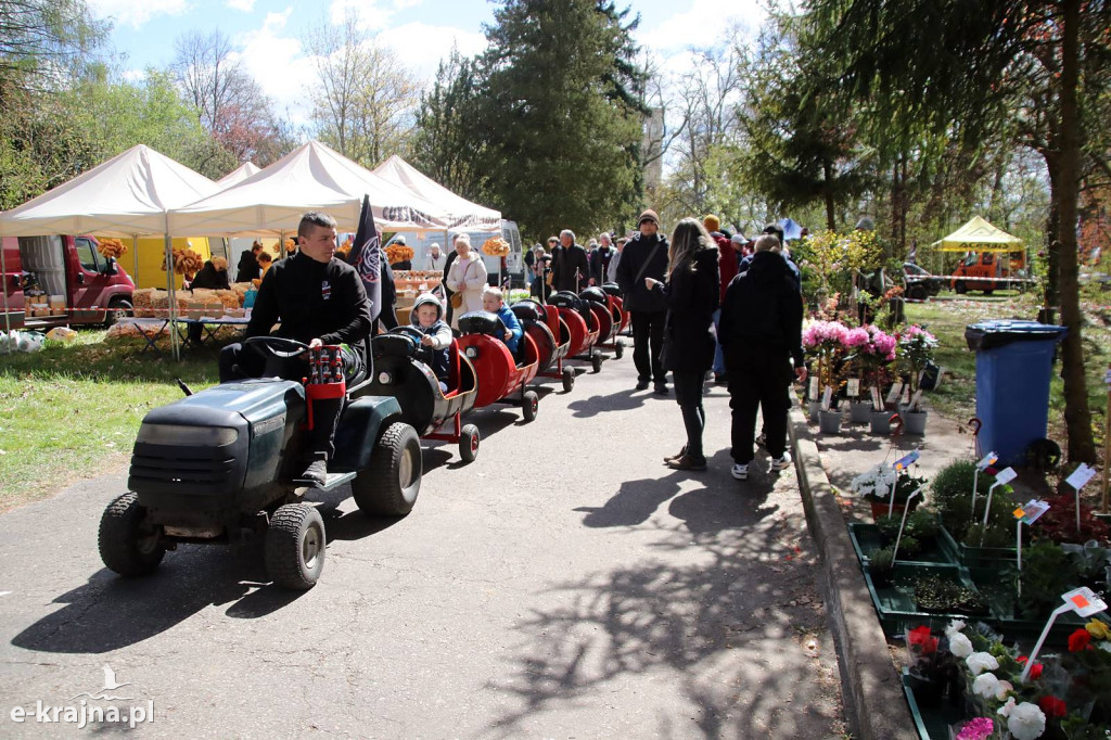 Sukces mimo chłodu. X Powiatowe Targi Ogrodniczo-Rolnicze w Sypniewie za nami
