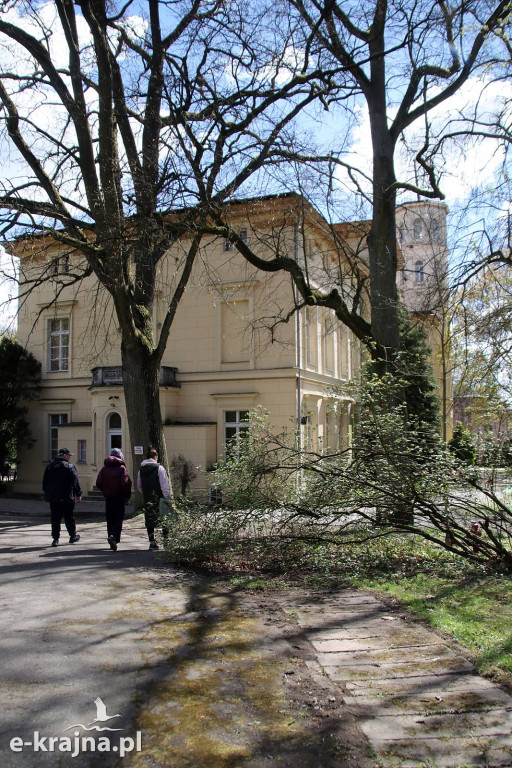 Sukces mimo chłodu. X Powiatowe Targi Ogrodniczo-Rolnicze w Sypniewie za nami