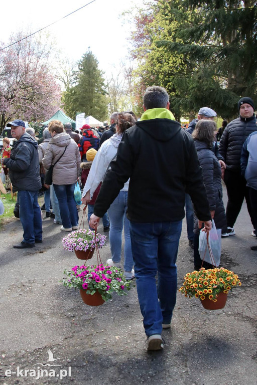 Sukces mimo chłodu. X Powiatowe Targi Ogrodniczo-Rolnicze w Sypniewie za nami