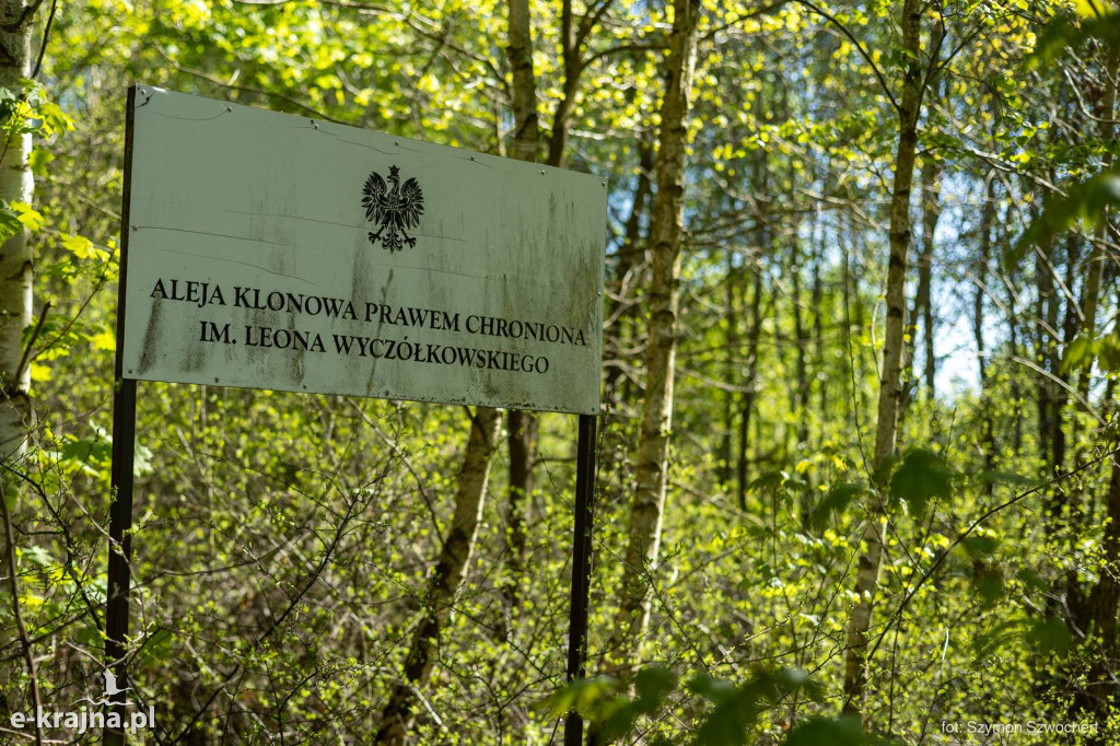 III Krajeński Spacer Krajobrazowy