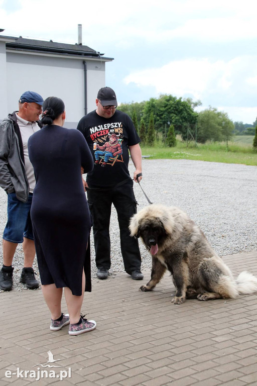 Rodzinny Festyn Rekreacyjno-Sportowy w Jastrzębcu za nami