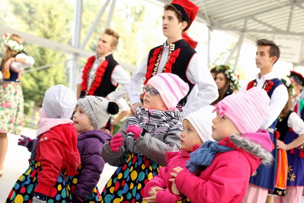 Sępólno: Wycięli hołubca w samo południe