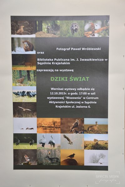 Dziki świat Pawła Wróblewskiego