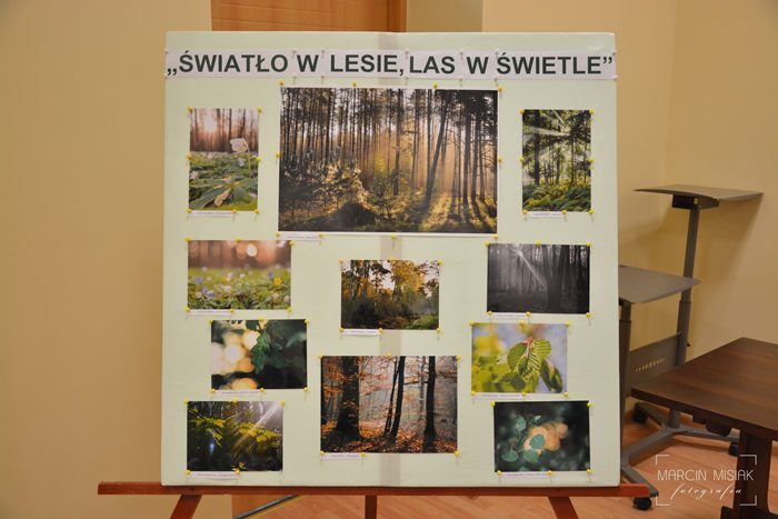 Światło w lesie, las w świetle - rozstrzygnięcie konkursu