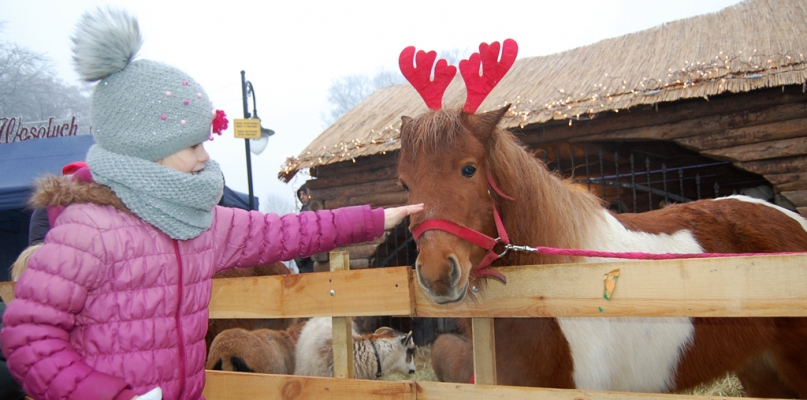 fot. Paweł Szydeł