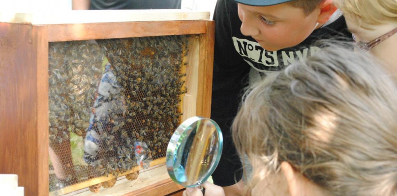 fot. Monika Kujawa - MGOK Więcbork