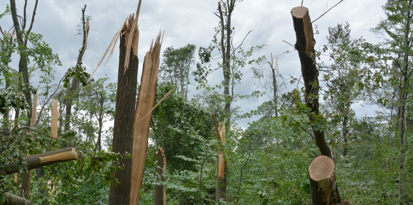 Kolejny dzień walki ze skutkami nawałnicy - fot. Marcin Misiak